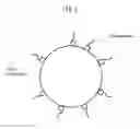 Fig. 03 - Dispersion