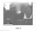 Fig. 08 - Nanoparticle carrier platform and methods for controlled release of subterranean well treatment additives
