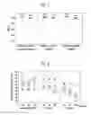 Fig. 08 - LIQUID CRYSTAL DISPLAY AND LIQUID CRYSTAL COMPOSITION INCLUDED THEREIN