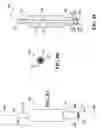 Fig. 16 - Systems, methods and apparatuses for processing plant embryos