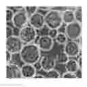 Fig. 01 - Drying formulation for hydrogel microcarriers