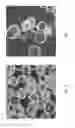 Fig. 03 - Drying formulation for hydrogel microcarriers