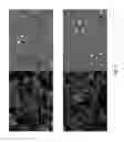 Fig. 07 - Drying formulation for hydrogel microcarriers