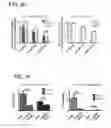 Fig. 16 - Use of phospholipid scramblase inhibitors for modulating inflammatory immune responses