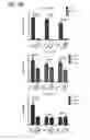 Fig. 23 - Use of phospholipid scramblase inhibitors for modulating inflammatory immune responses