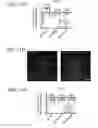 Fig. 35 - Use of phospholipid scramblase inhibitors for modulating inflammatory immune responses