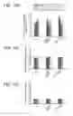 Fig. 48 - Use of phospholipid scramblase inhibitors for modulating inflammatory immune responses