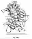 Fig. 76 - VARIANT THIOESTERASES AND METHODS OF USE