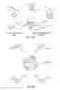 Fig. 09 - Nanoparticle-attached enzyme cascades for accelerated multistep biocatalysis