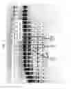 Fig. 02 - High fidelity restriction endonucleases