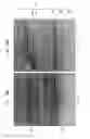 Fig. 19 - High fidelity restriction endonucleases