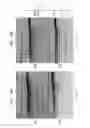 Fig. 22 - High fidelity restriction endonucleases