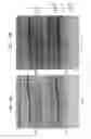Fig. 24 - High fidelity restriction endonucleases