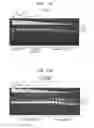 Fig. 41 - High fidelity restriction endonucleases