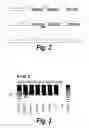 Fig. 03 - Antisense molecules and methods for treating pathologies