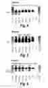 Fig. 04 - Antisense molecules and methods for treating pathologies