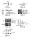 Fig. 02 - Selective reduction of the deleterious activity of extended tri-nucleotide repeat containing genes