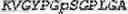 Fig. 03 - Therapeutic oligonucleotides