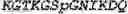 Fig. 04 - Therapeutic oligonucleotides
