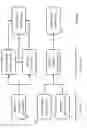 Fig. 06 - Therapeutic oligonucleotides