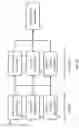 Fig. 07 - Therapeutic oligonucleotides