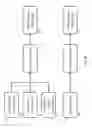 Fig. 08 - Therapeutic oligonucleotides