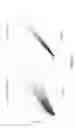 Fig. 32 - Therapeutic oligonucleotides