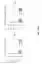 Fig. 47 - Therapeutic oligonucleotides