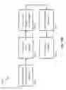 Fig. 52 - Therapeutic oligonucleotides
