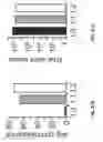 Fig. 64 - Therapeutic oligonucleotides
