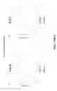 Fig. 65 - Therapeutic oligonucleotides