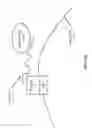 Fig. 69 - Therapeutic oligonucleotides