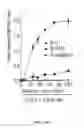 Fig. 74 - Therapeutic oligonucleotides