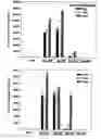 Fig. 01 - COMPOSITIONS AND METHODS FOR OLIGONUCLEOTIDE FORMULATIONS