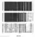 Fig. 16 - Methods and compositions for targeted polynucleotide modification