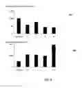 Fig. 05 - Transgenic soybean plants and chromosomes