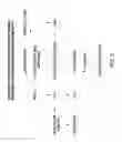 Fig. 02 - Methods of cell renewal