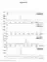 Fig. 06 - Oligonucleotides packaged into virus-like particles of RNA bacteriophages