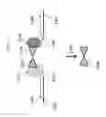 Fig. 12 - Methods of modifying a target nucleic acid with an Argonaute