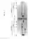 Fig. 27 - Methods of modifying a target nucleic acid with an Argonaute