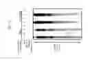 Fig. 34 - Methods of modifying a target nucleic acid with an Argonaute