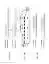 Fig. 37 - Methods of modifying a target nucleic acid with an Argonaute