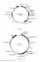 Fig. 03 - Dibasic organic acid producing strain and preparation and application of same