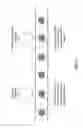 Fig. 07 - Droplet array for single-cell analysis