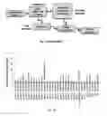 Fig. 02 - Compositions, methods, and plant genes for the improved production of fermentable sugars for biofuel production