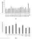 Fig. 09 - Compositions, methods, and plant genes for the improved production of fermentable sugars for biofuel production
