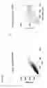 Fig. 12 - BRANCHED PROXIMITY HYBRIDIZATION ASSAY