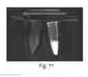 Fig. 09 - METHODS FOR NUCLEIC ACID IDENTIFICATION