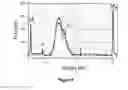 Fig. 07 - Copy number preserving RNA analysis method