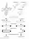 Fig. 01 - ALKB -FACILITATED RNA METHYLATION SEQUENCING (ARM-SEQ)